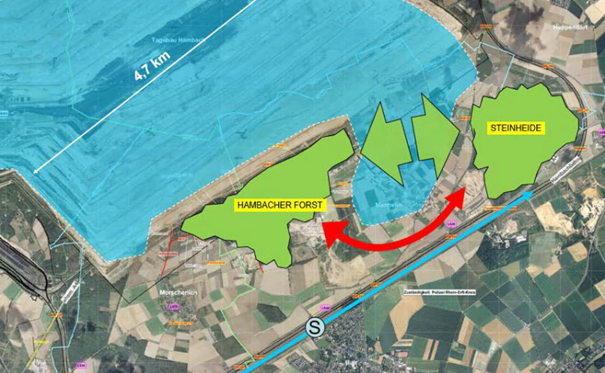 Diese kartographische Darstellung zeigt, dass die Fläche des Manheimer Lochs zur großräumigen Vernetzung des Hambacher Waldes mit der Steinheide benötigt wird.